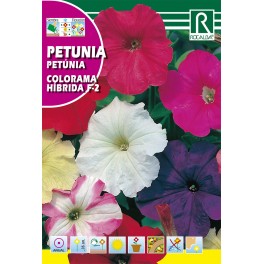 Semilla petunia colorama híbrida F-2