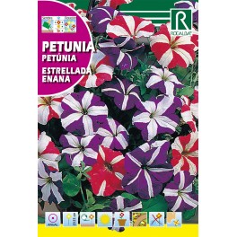 Semilla petunia estrellada enana