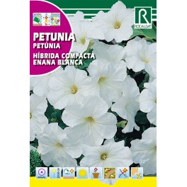 Semilla petunia híbrida compacta enana blanca