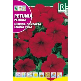 Semilla petunia híbrida compacta enana roja