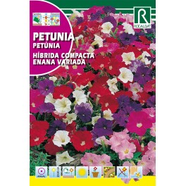 Semilla petunia híbrida compacta enana variada