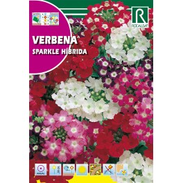 Semilla verbena sparkle híbrida