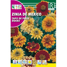 Semilla zenia de mexico tapis de perse enana