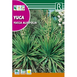 Semilla yuca